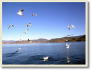 Qinghai Gansu Xinjiang 11 Day Tour